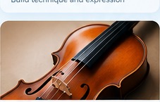 Violin